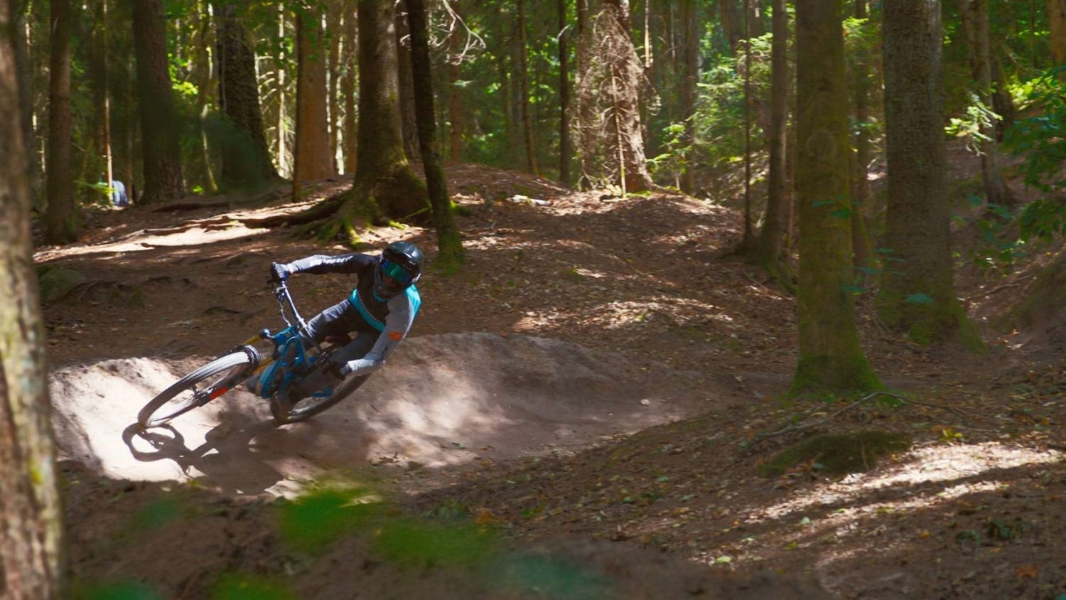 Mountainbiken mitten im Wald – die perfekte Verbindung von Natur und Sport