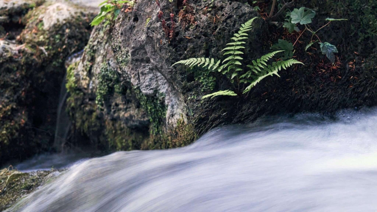 Klares Wasser und grüne Ufer am Eisbach – Münchens beliebte Naturoase