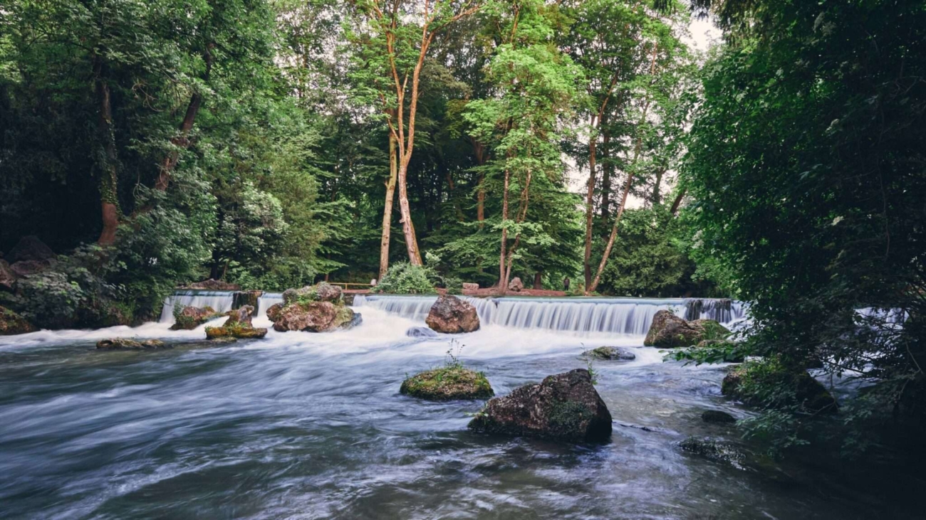 Klares Wasser und grüne Ufer am Eisbach – Münchens beliebte Naturoase
