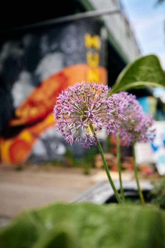 Halt 58 in München – entspannte Atmosphäre mit Street-Food und Kulturangebot.