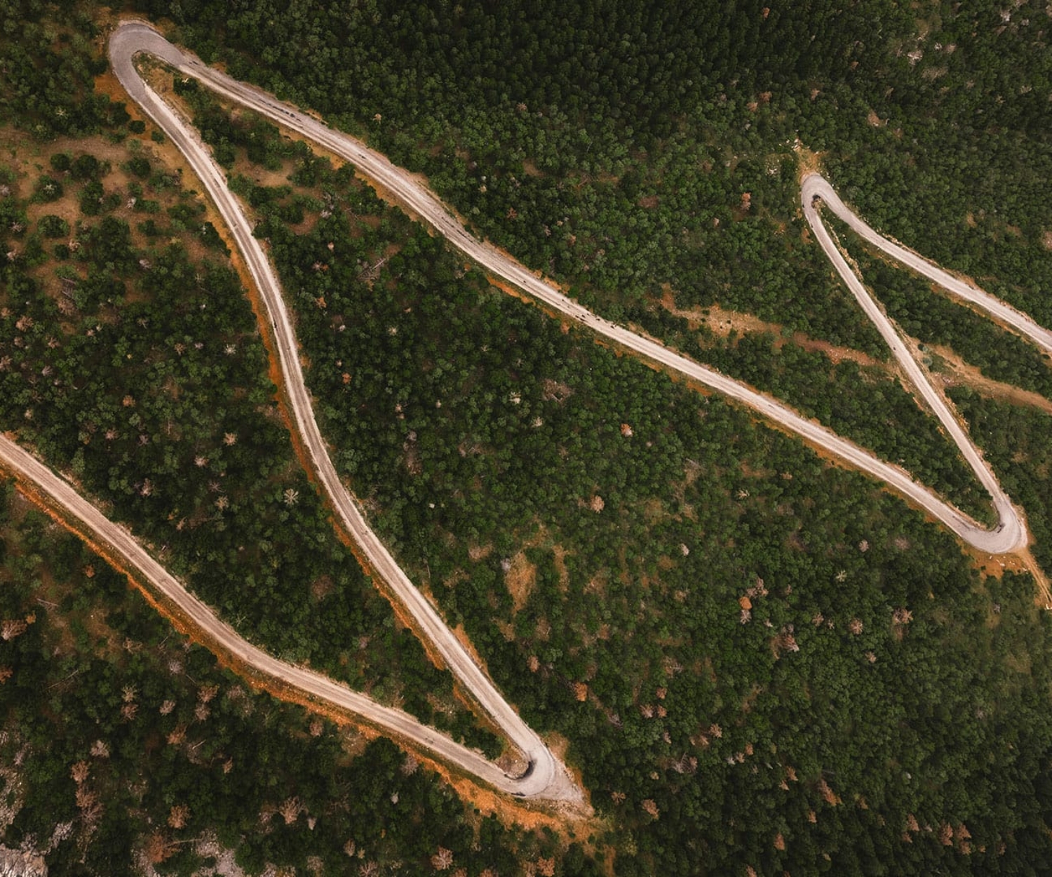 Kurvige Straße durch Waldlandschaft als Symbol für die strategische Planung von Video-Touchpoints entlang der Customer Journey